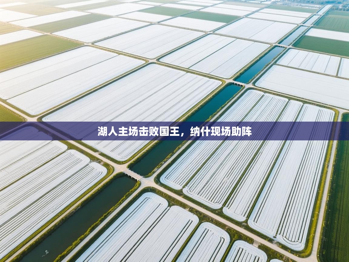 湖人主场击败国王，纳什现场助阵  第1张