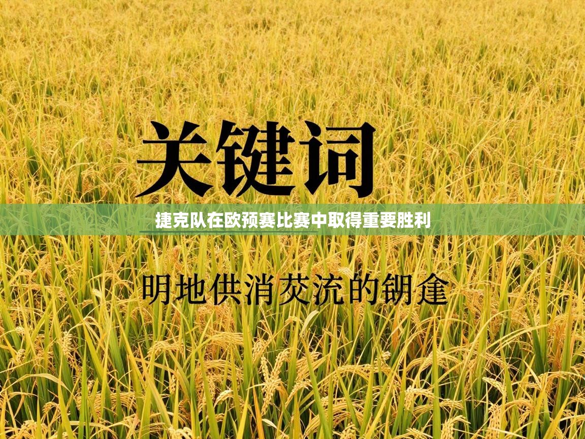 捷克队在欧预赛比赛中取得重要胜利  第2张