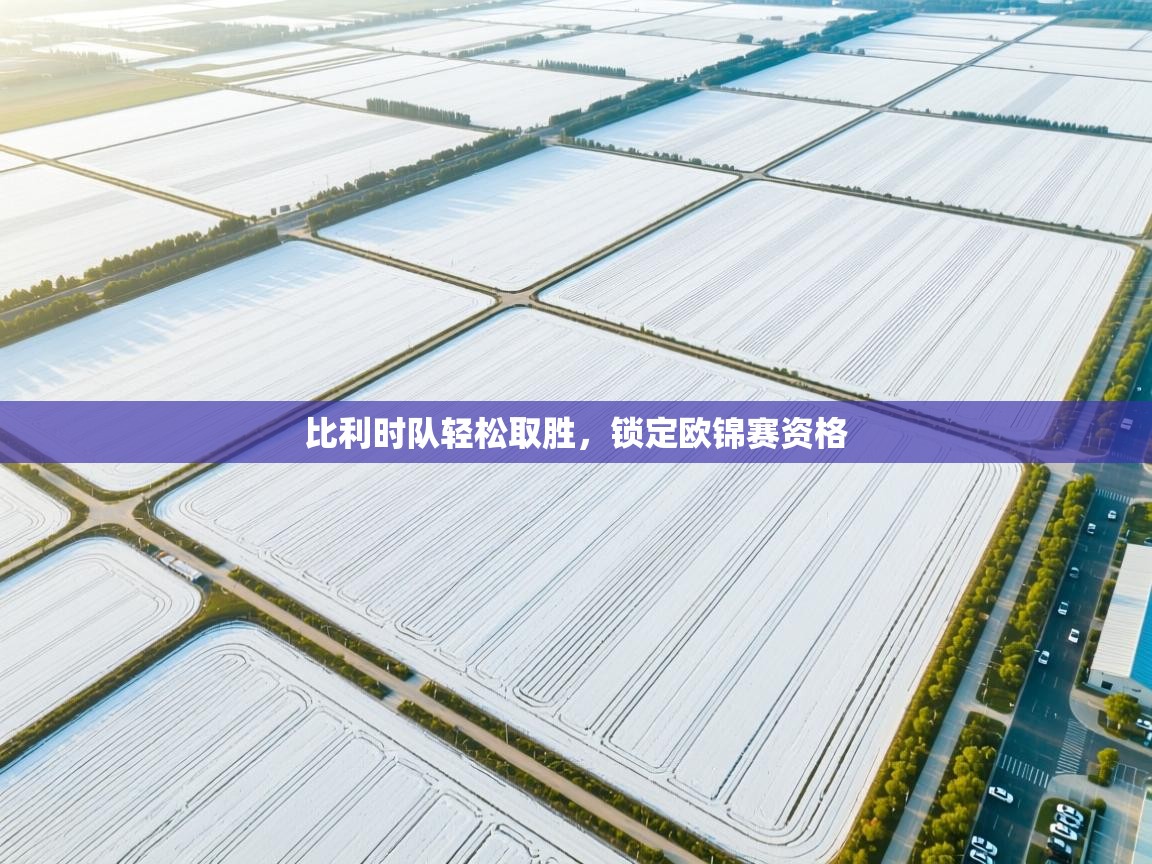 比利时队轻松取胜，锁定欧锦赛资格