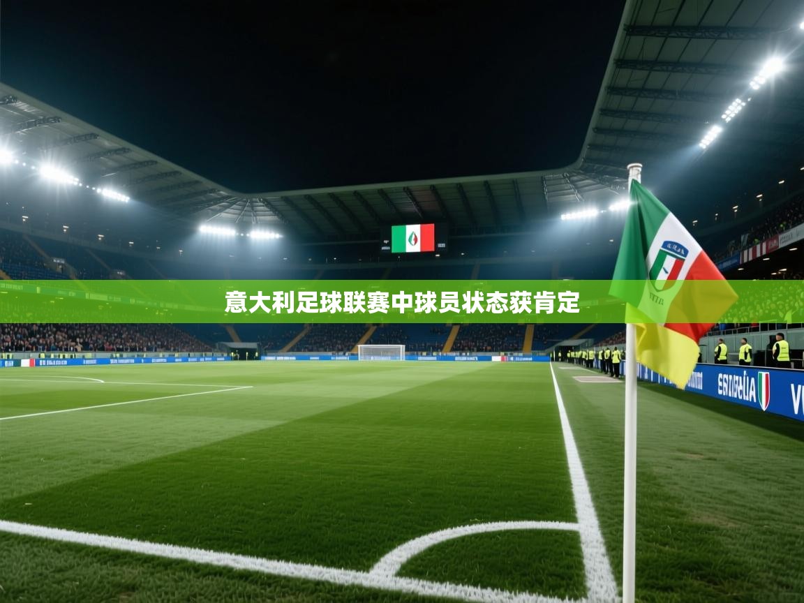 意大利足球联赛中球员状态获肯定